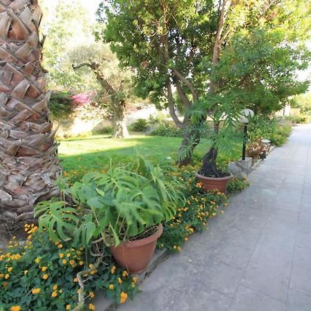 Residence Il Giunco Presicce Zewnętrze zdjęcie