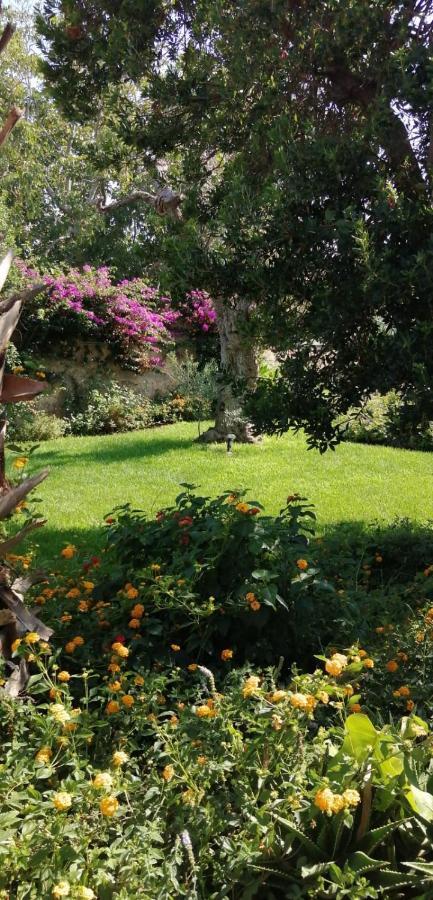 Residence Il Giunco Presicce Zewnętrze zdjęcie