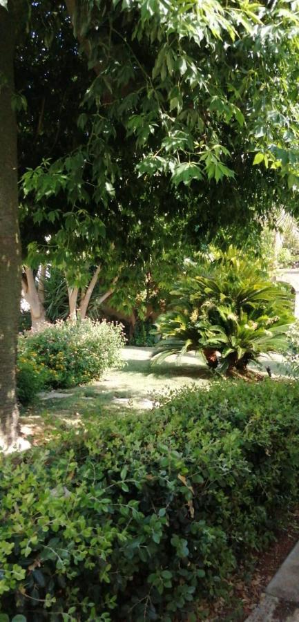 Residence Il Giunco Presicce Zewnętrze zdjęcie